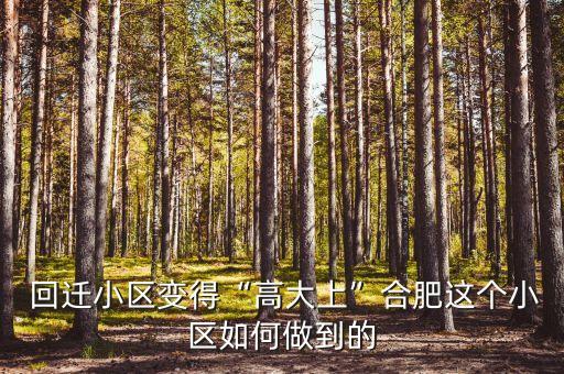  回遷小區(qū)變得“高大上”合肥這個(gè)小區(qū)如何做到的
