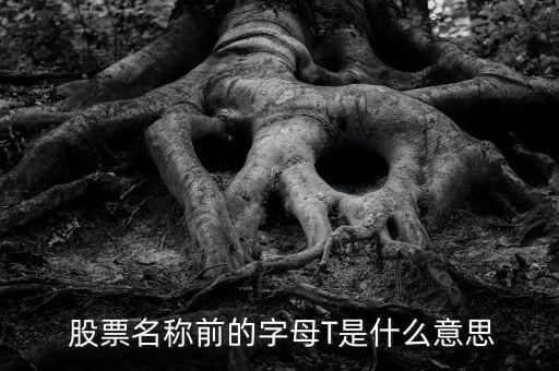  股票名稱(chēng)前的字母T是什么意思