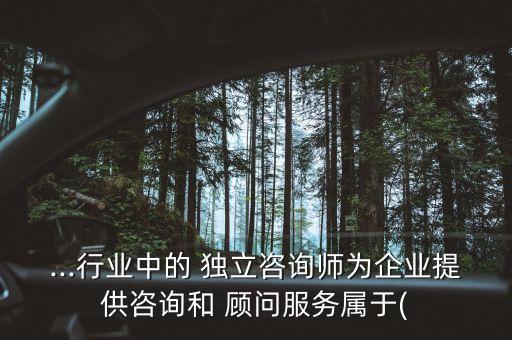 ...行業(yè)中的 獨(dú)立咨詢師為企業(yè)提供咨詢和 顧問服務(wù)屬于(
