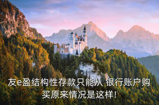 友e盈結(jié)構(gòu)性存款只能從 銀行賬戶購買原來情況是這樣!