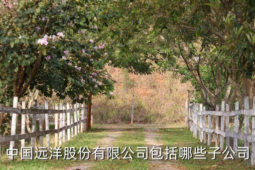 中國遠(yuǎn)洋股份有限公司包括哪些子公司