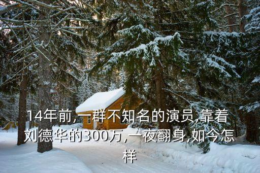 劉德華投資