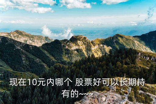 現(xiàn)在10元內(nèi)哪個(gè) 股票好可以長(zhǎng)期持有的~~~