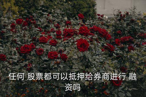 每個股票可融資融券,融資融券的股票對散戶好不好