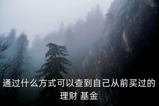 通過什么方式可以查到自己從前買過的理財(cái) 基金
