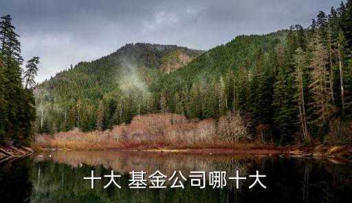 理財(cái)型基金排名,凈值型理財(cái)算不算基金