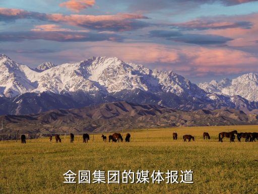金圓集團的媒體報道