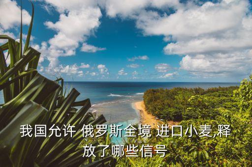 中國從俄羅斯進口什么