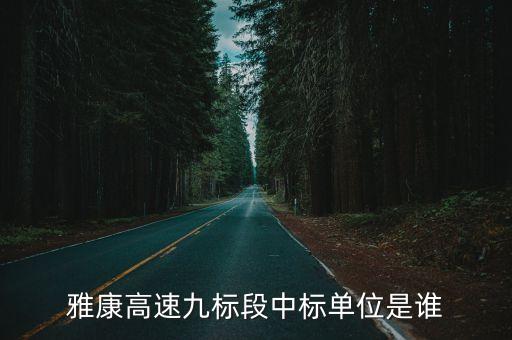 雅康高速九標(biāo)段中標(biāo)單位是誰(shuí)