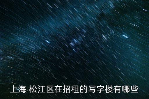 大大集團松江分公司,臨港集團松江分公司