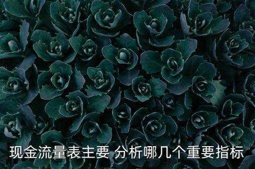 現(xiàn)金流量表主要 分析哪幾個重要指標(biāo)
