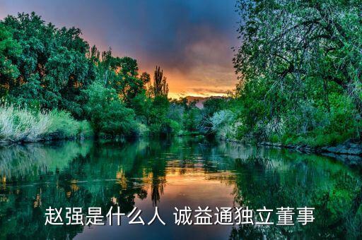 趙強(qiáng)是什么人 誠益通獨立董事