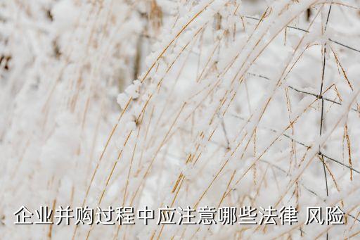 收購(gòu)公司的風(fēng)險(xiǎn)