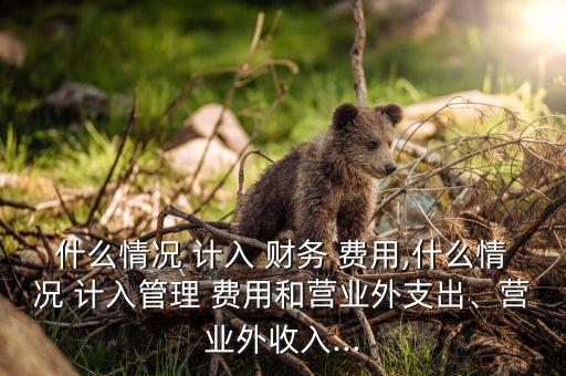 什么情況 計(jì)入 財(cái)務(wù) 費(fèi)用,什么情況 計(jì)入管理 費(fèi)用和營(yíng)業(yè)外支出、營(yíng)業(yè)外收入...