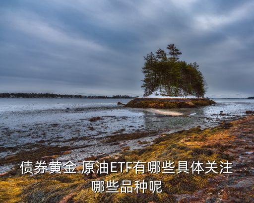 原油類基金,原油etf基金有哪些