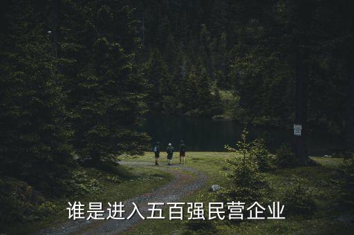 誰是進(jìn)入五百?gòu)?qiáng)民營(yíng)企業(yè)