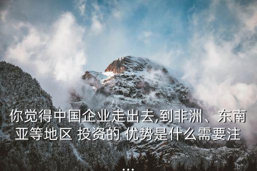 你覺得中國企業(yè)走出去,到非洲、東南亞等地區(qū) 投資的 優(yōu)勢是什么需要注...
