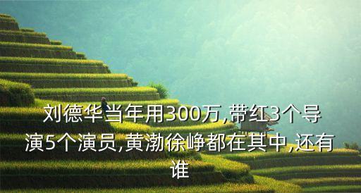  劉德華當(dāng)年用300萬,帶紅3個(gè)導(dǎo)演5個(gè)演員,黃渤徐崢都在其中,還有誰