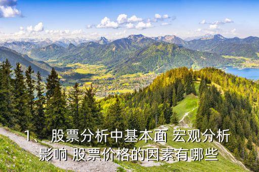 1、 股票分析中基本面 宏觀分析 影響 股票價格的因素有哪些