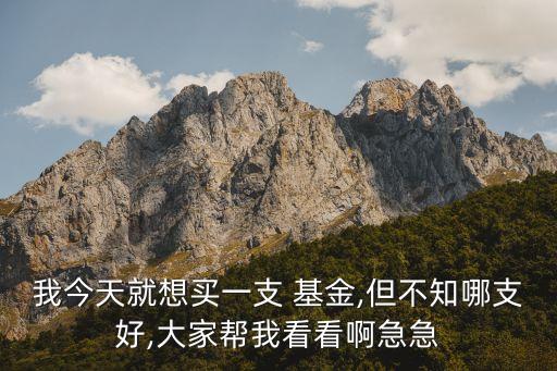我今天就想買一支 基金,但不知哪支好,大家?guī)臀铱纯窗〖奔? class=