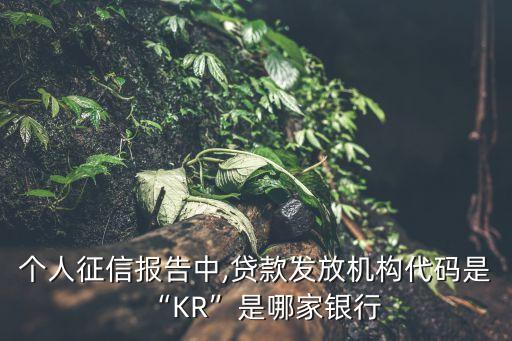 個人征信報告中,貸款發(fā)放機構(gòu)代碼是“KR”是哪家銀行