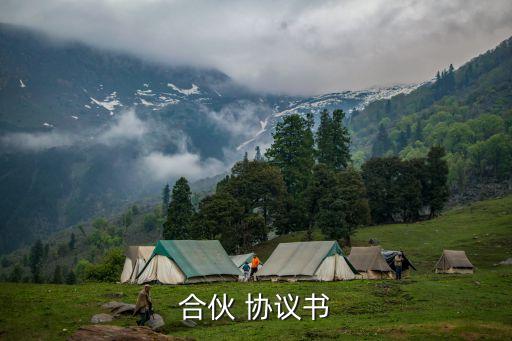 資產(chǎn)管理公司合作協(xié)議范本,輕資產(chǎn)合作協(xié)議范本