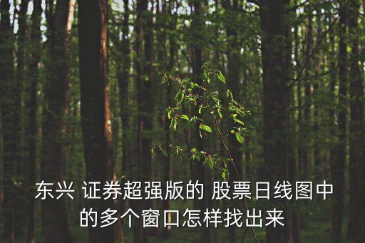  東興 證券超強(qiáng)版的 股票日線圖中的多個窗口怎樣找出來