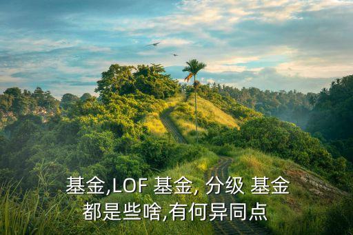  基金,LOF 基金, 分級 基金都是些啥,有何異同點