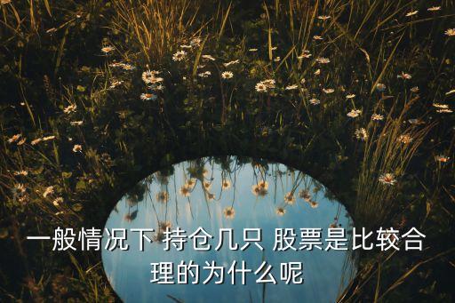 a股持倉別的公司股份最多的股票