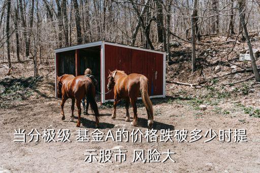 當分極級 基金A的價格跌破多少時提示股市 風險大