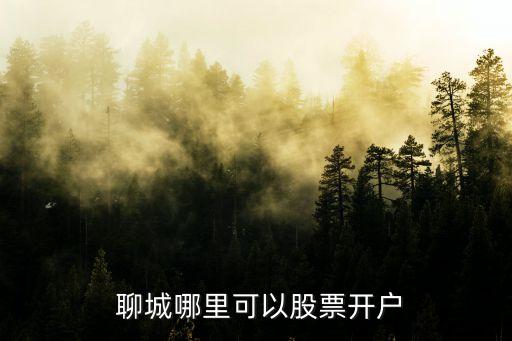  聊城哪里可以股票開(kāi)戶