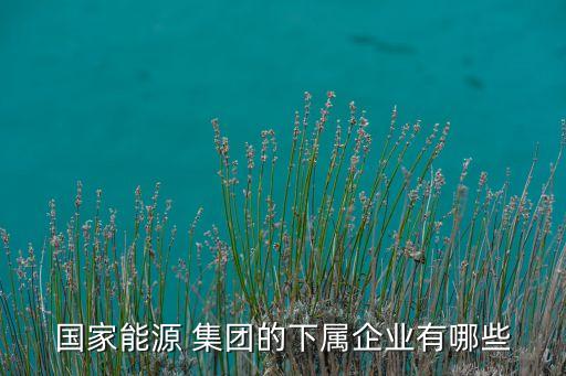 國家能源 集團的下屬企業(yè)有哪些