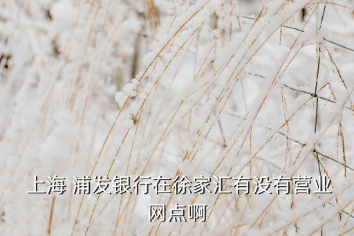  上海 浦發(fā)銀行在徐家匯有沒(méi)有營(yíng)業(yè)網(wǎng)點(diǎn)啊
