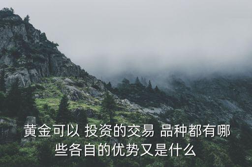 黃金可以 投資的交易 品種都有哪些各自的優(yōu)勢又是什么