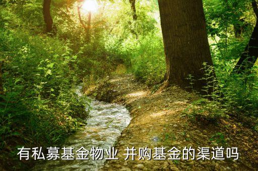 2012中國(guó)并購(gòu),中國(guó)公司并購(gòu)案例