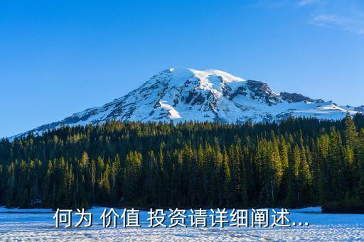 何為 價值 投資請詳細(xì)闡述…