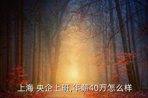  上海 央企上班,年薪40萬怎么樣