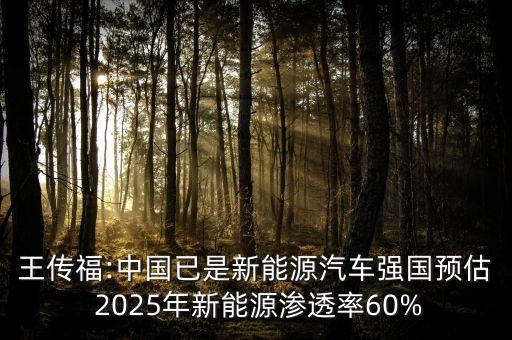 王傳福:中國已是新能源汽車強(qiáng)國預(yù)估 2025年新能源滲透率60%
