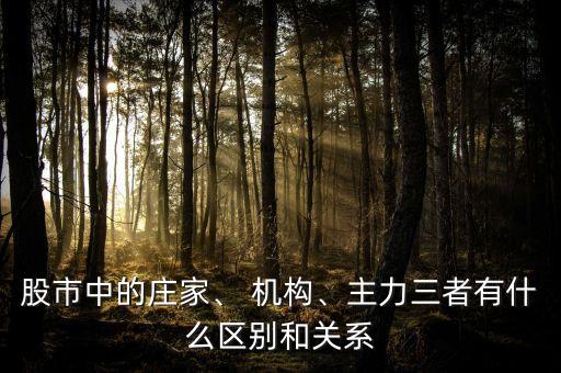 股市中的莊家、 機(jī)構(gòu)、主力三者有什么區(qū)別和關(guān)系
