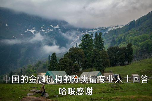 中國(guó)的金融機(jī)構(gòu)的分類請(qǐng)專業(yè)人士回答哈哦感謝