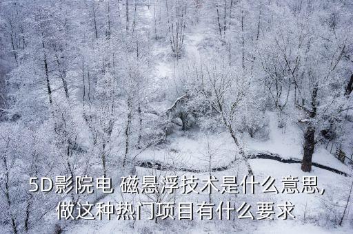 5D影院電 磁懸浮技術(shù)是什么意思,做這種熱門項(xiàng)目有什么要求