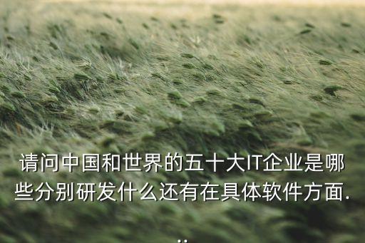 請問中國和世界的五十大IT企業(yè)是哪些分別研發(fā)什么還有在具體軟件方面...