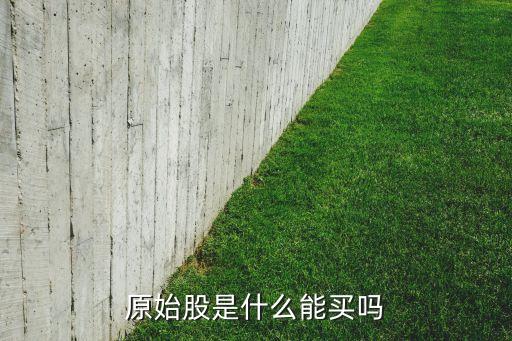 中國股票承銷商,股票承銷商幫助發(fā)行人安排的發(fā)行前的調(diào)研與推介活動叫