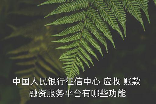 中國(guó)人民銀行征信中心 應(yīng)收 賬款 融資服務(wù)平臺(tái)有哪些功能