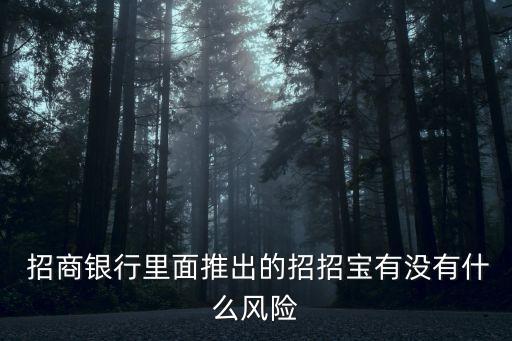  招商銀行里面推出的招招寶有沒有什么風(fēng)險