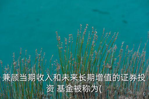 兼顧當(dāng)期收入和未來長期增值的證券投資 基金被稱為(