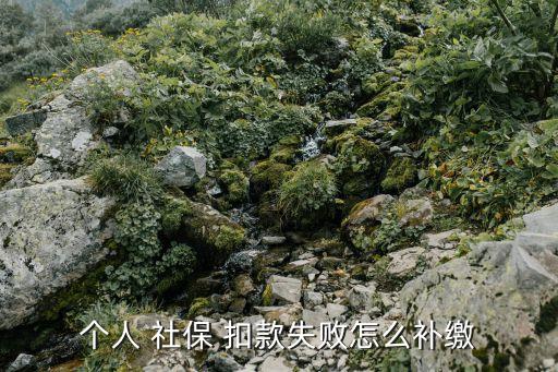 個人 社保 扣款失敗怎么補繳