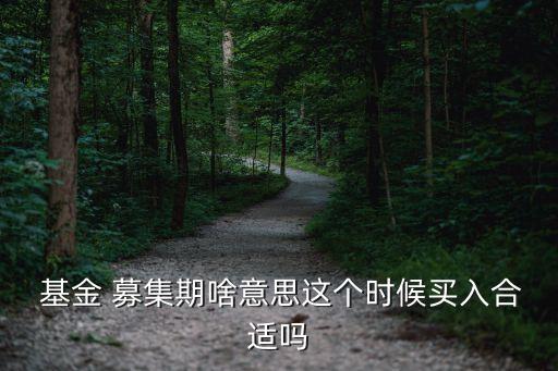  基金 募集期啥意思這個(gè)時(shí)候買入合適嗎