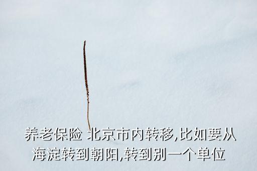  養(yǎng)老保險(xiǎn) 北京市內(nèi)轉(zhuǎn)移,比如要從海淀轉(zhuǎn)到朝陽,轉(zhuǎn)到別一個(gè)單位
