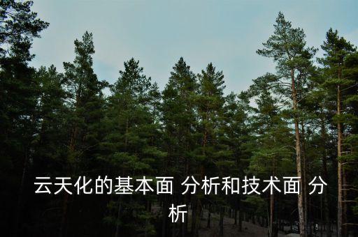  云天化的基本面 分析和技術面 分析